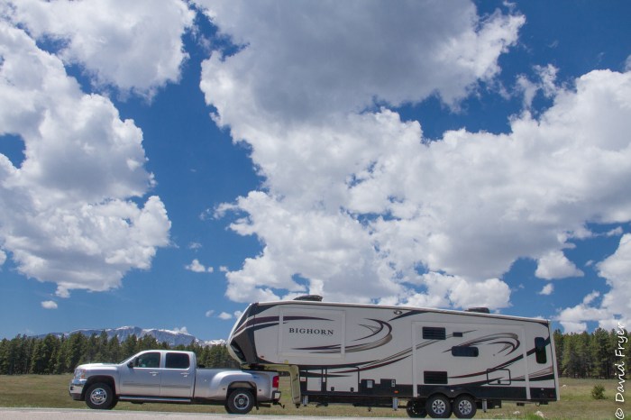 Bighorn in Bighorn Mountains-3053