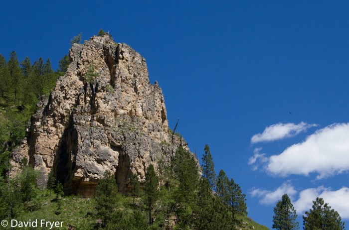Black Hills-156