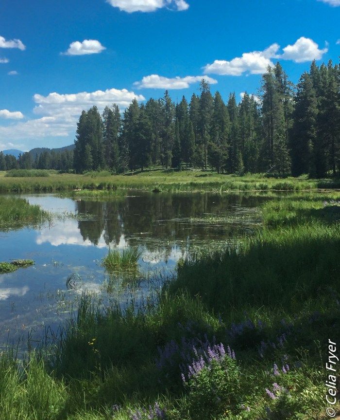 Grand Teton - Swan Lake-2