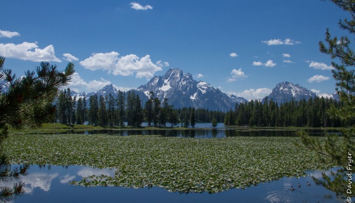 Grand Teton - Swan Lake-38