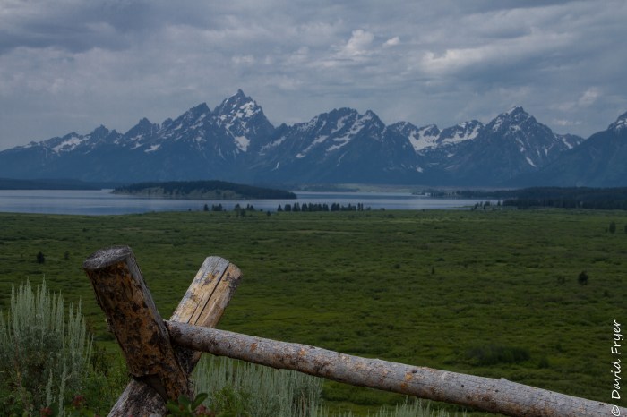 Grand Teton's-113