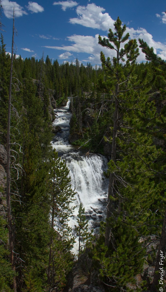 Yellowstone-153