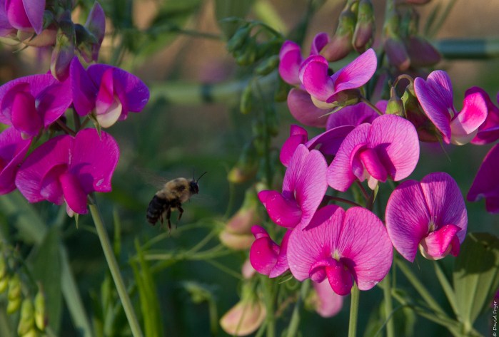 Eclipse Salem OR 2017-2-2