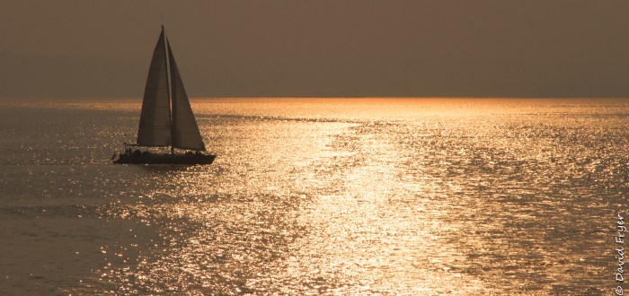 Olympic Peninsula 2017-71