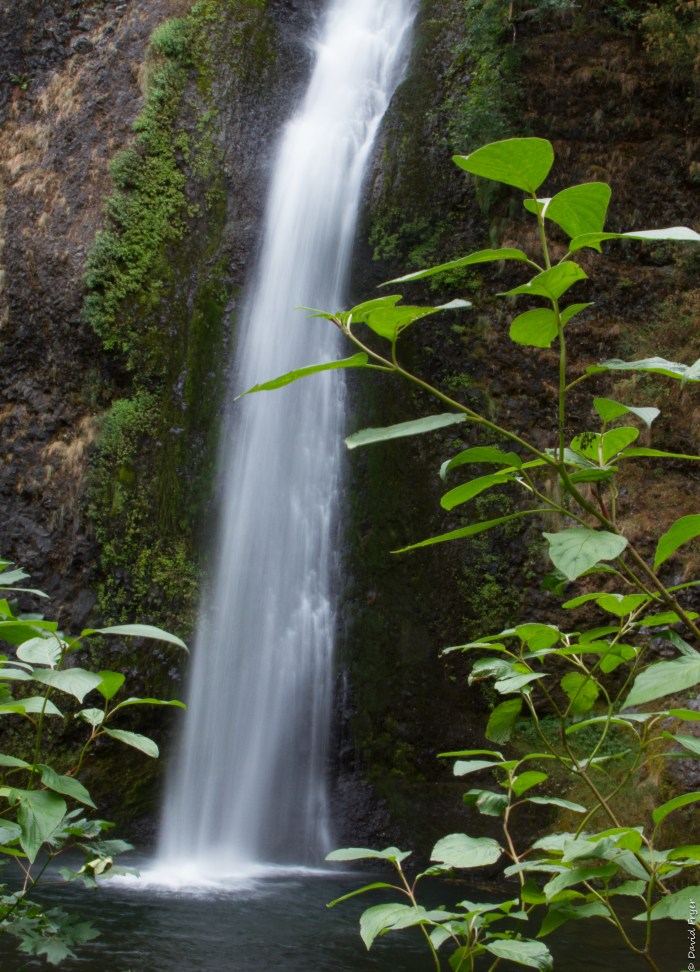 Portland OR 2017-2-10