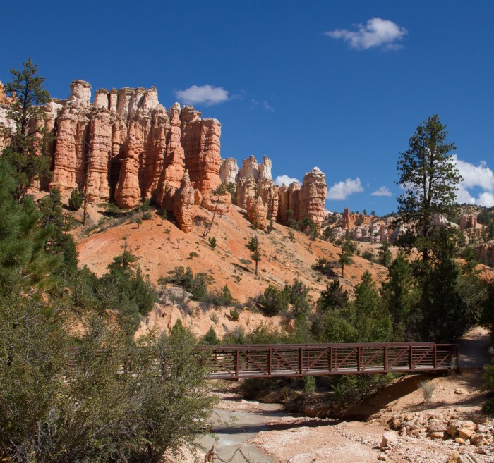 Mossy Creek UT 2017-17