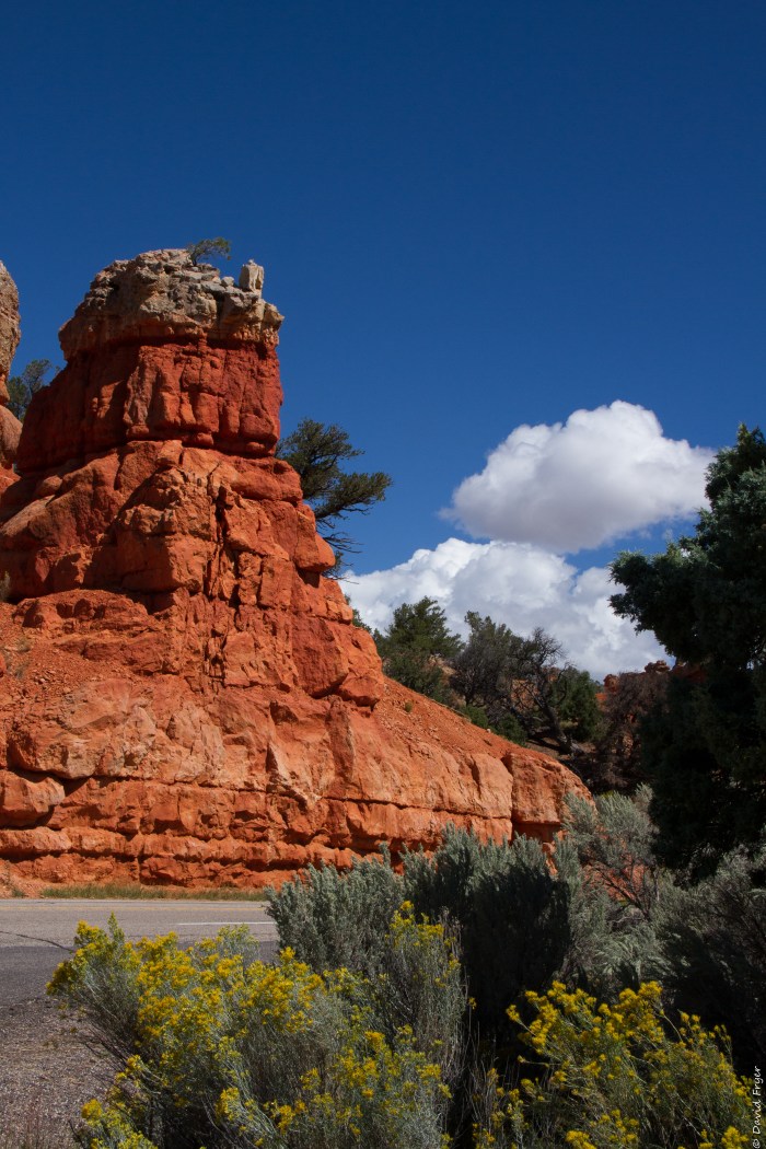 Red Canyon UT 2017-2