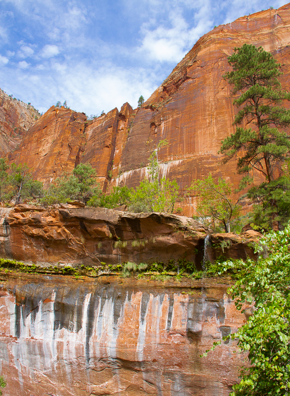 Zion National Park UT 2017-29