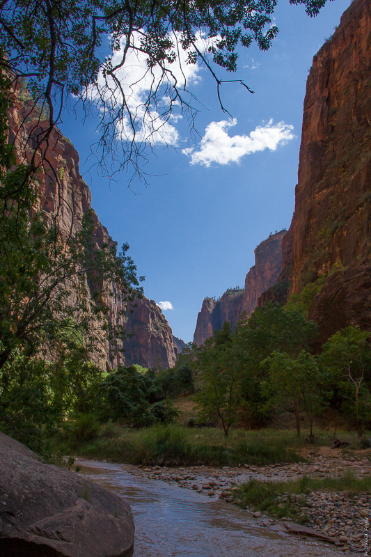 Zion National Park UT 2017-41