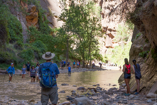 Zion National Park UT 2017-49