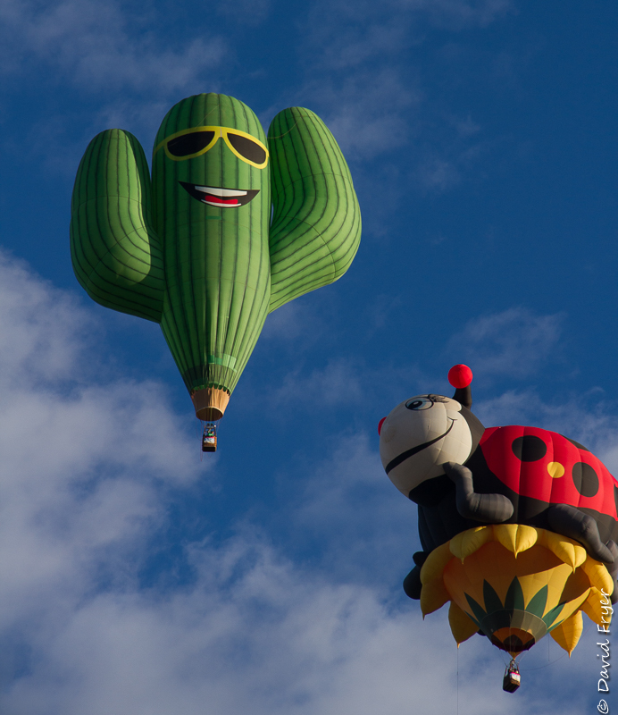 Albuquerque Balloon Fiesta 2017-3-18