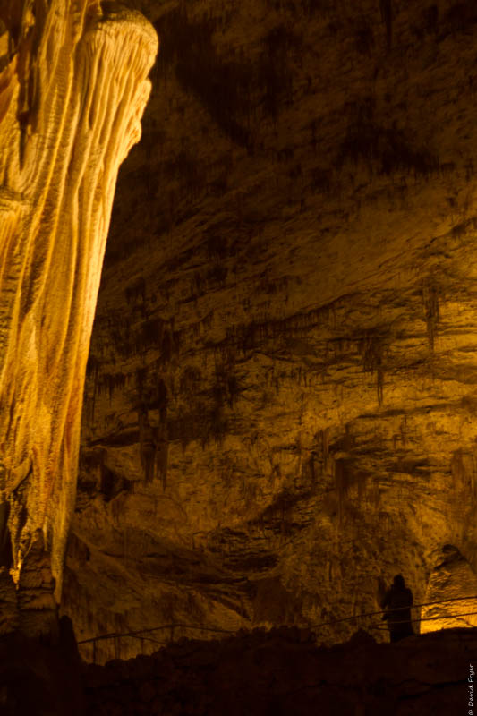 Carlsbad Caverns 2017-158