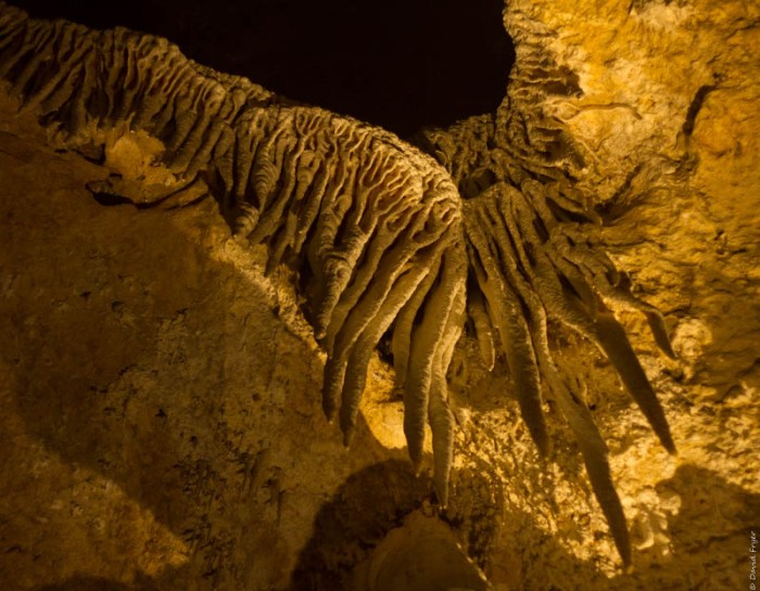 Carlsbad Caverns 2017-176
