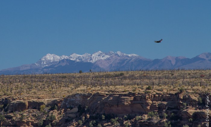 Mesa Verde National Park 2017-11