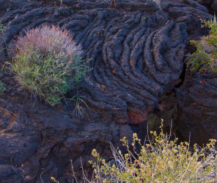 Valley of Fires NM 2017-55