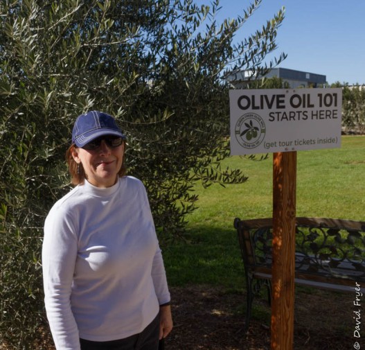 Queen Creek Olive Mill AZ-11