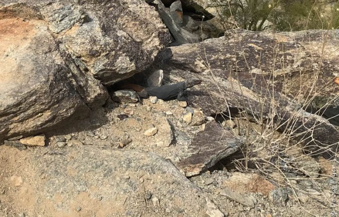 South Mountain Arizona 2018-6