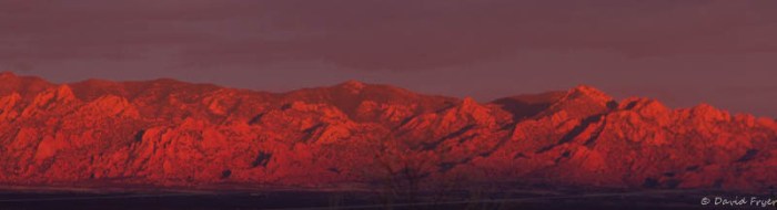 Benson 2018 AZ 2018-14