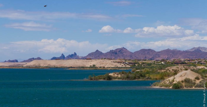 Lake Havasu AZ 2018-103