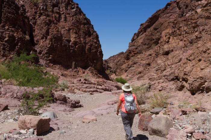Lake Havasu AZ 2018-151