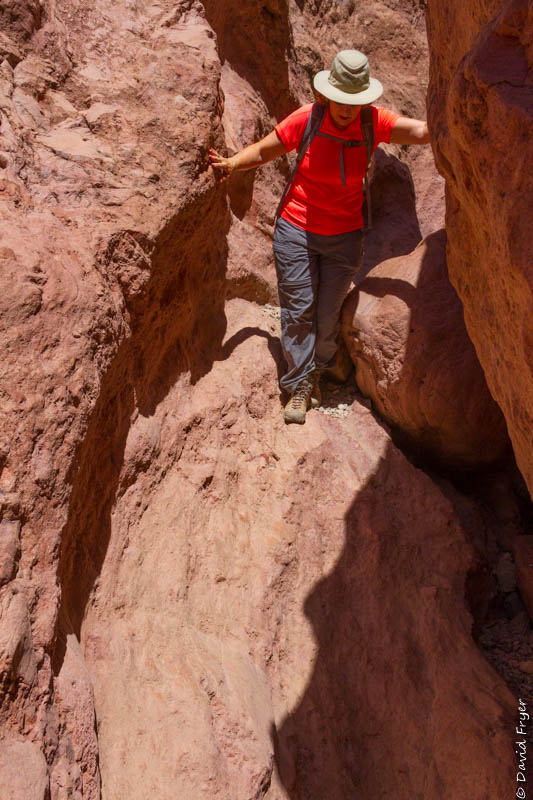 Lake Havasu AZ 2018-169