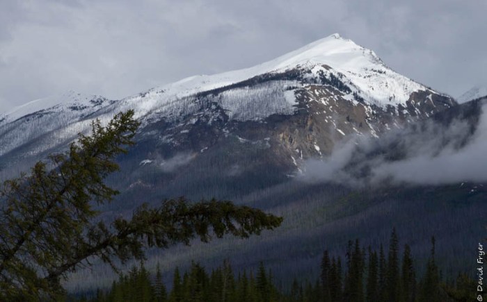 Canada National Parks Kootenay Banff Jasper-75