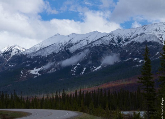Canada National Parks Kootenay Banff Jasper-82
