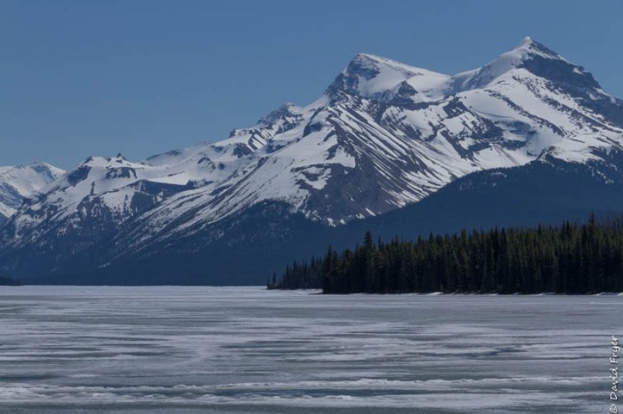 Jasper and Lake Maligne 2018-23