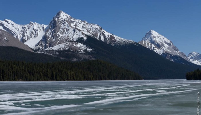 Jasper and Lake Maligne 2018-59