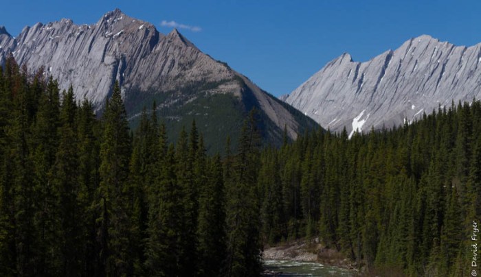 Jasper and Lake Maligne 2018-71