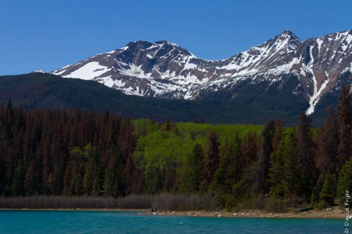Jasper and Pyramid Lake-60