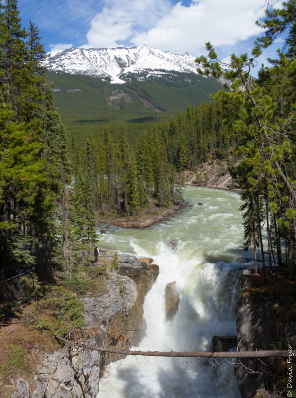 Jasper Icefields Parkway Athabasca and Sunwapta Falls-113