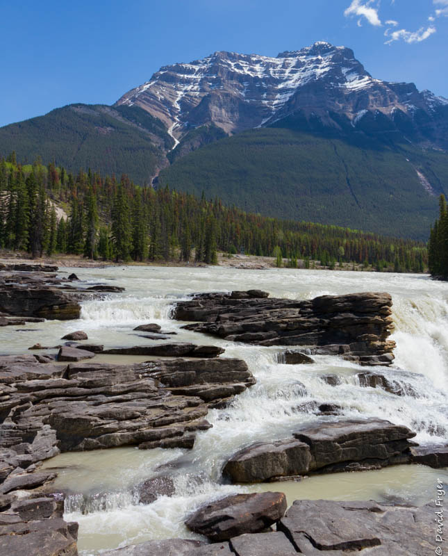 Jasper Icefields Parkway Athabasca and Sunwapta Falls-21