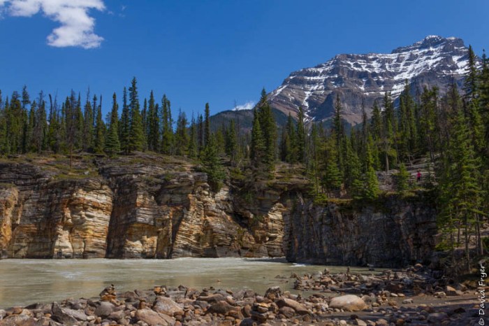 Jasper Icefields Parkway Athabasca and Sunwapta Falls-74