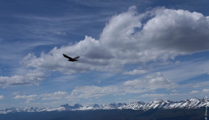 Jasper Tramway 2018-112