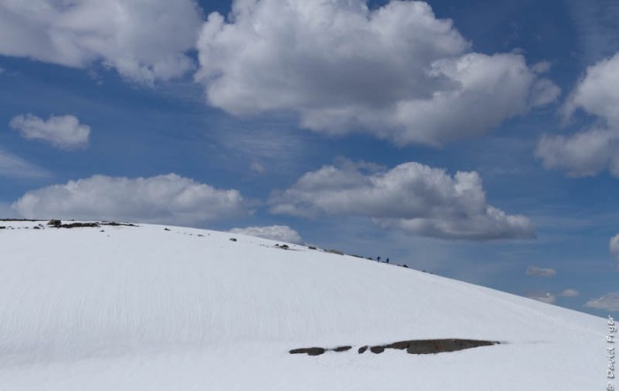 Jasper Tramway 2018-91