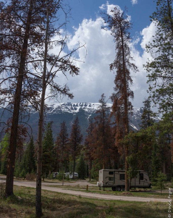 Whistlers Campground Jasper AB 2018-4