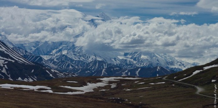 Denali National Park 2018-115-2