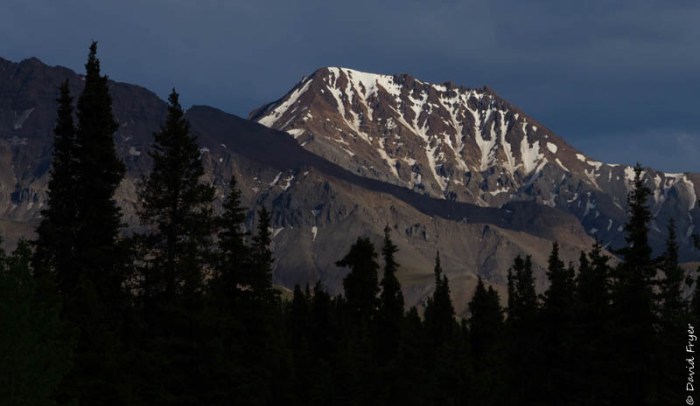 Denali National Park 2018-147-2