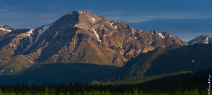 Denali National Park 2018-155-2