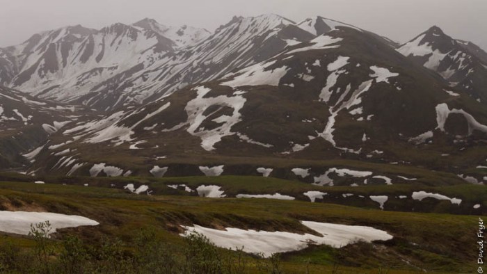 Denali National Park 2018-73-2