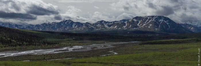 Denali National Park 2018-78