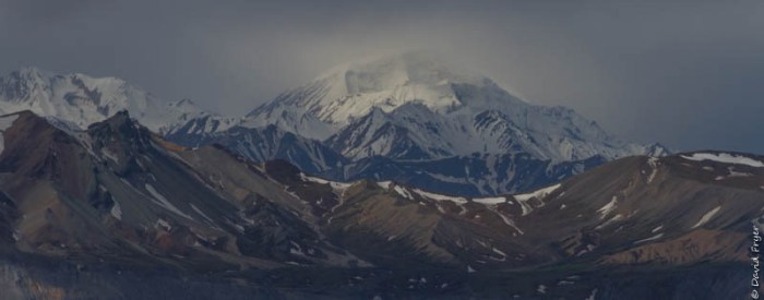 Denali National Park 2018-80-2