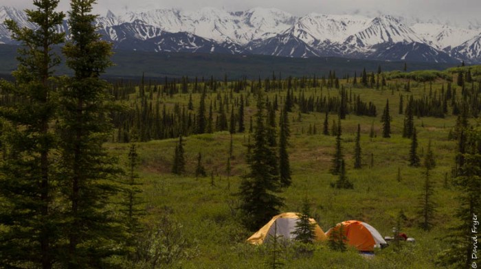 Denali National Park 2018-91-2