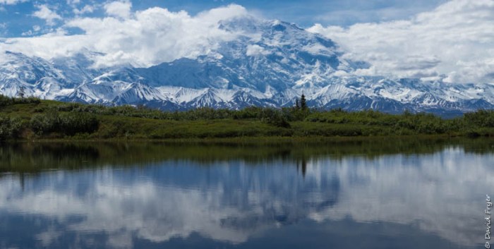 Denali National Park 2018-93-3