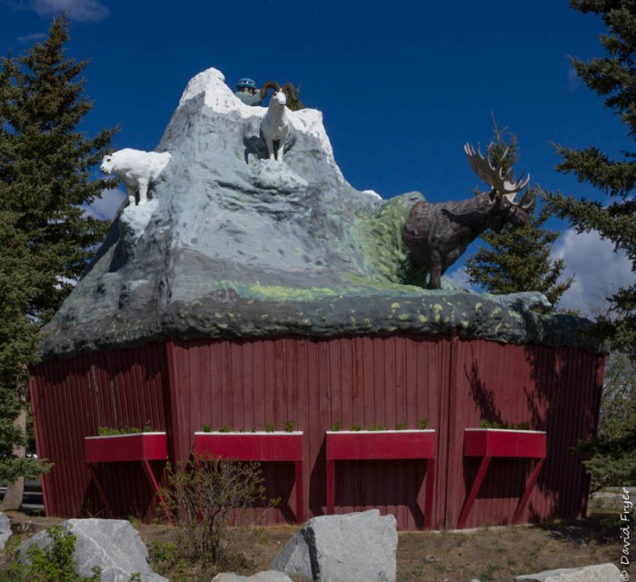 Haines Junction YT 2018-34