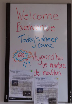 Kluane National Park YT 2018-23