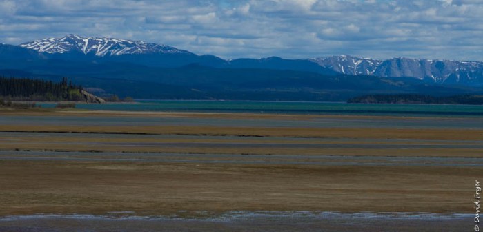 Marsh Lake YT 2018-31