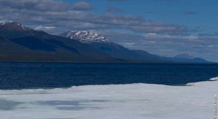 Teslin Lake YT 2018-101
