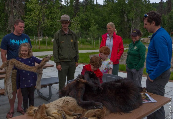 Denali State Park 2018-24-4